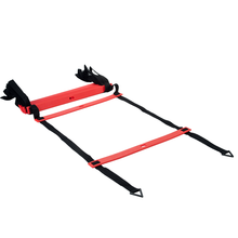 Load image into Gallery viewer, P2I Agility Ladder Pro