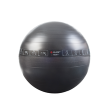 Load image into Gallery viewer, P2I Gym Ball 75cm