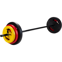Load image into Gallery viewer, P2I Cement Barbell Set 25kg